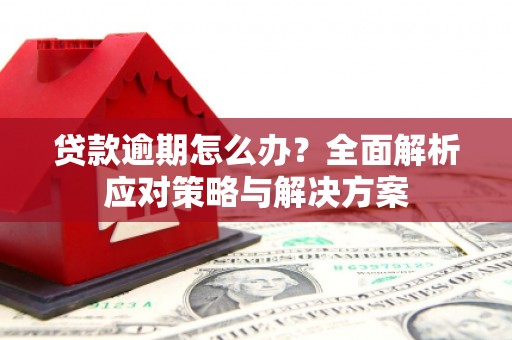 三水贷款逾期怎么办？全面解析应对策略与解决方案