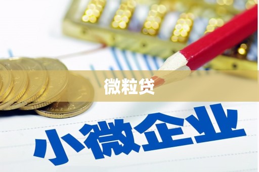 三水微粒贷