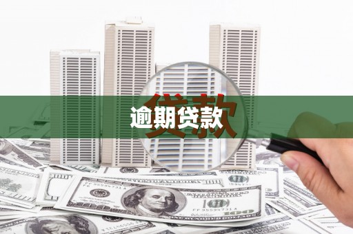 三水逾期贷款